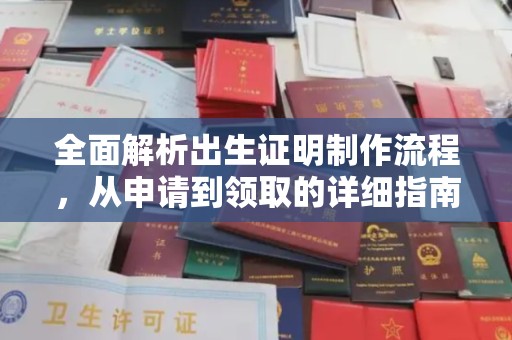 虾峙全面解析出生证明制作流程，从申请到领取的详细指南