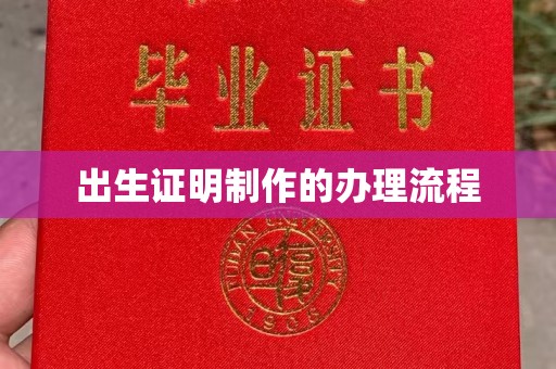 虾峙出生证明制作的办理流程