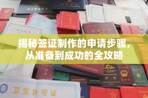 虾峙揭秘签证制作的申请步骤，从准备到成功的全攻略